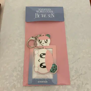 SEVENTEEN bethesun 본봉이 트레이딩 카드 홀더