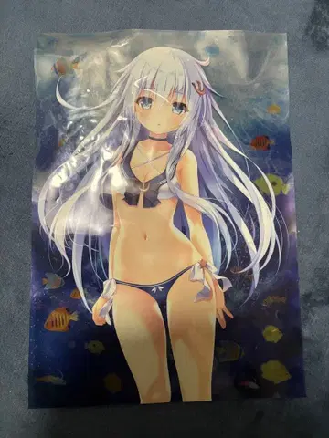 키노코노미 kino C92 베일누이 클리어 포스터 칸코레