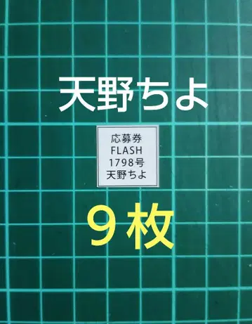 9장 응모권 FLASH1798호 아마노 치요 친필 사인 폴라로이드 추첨