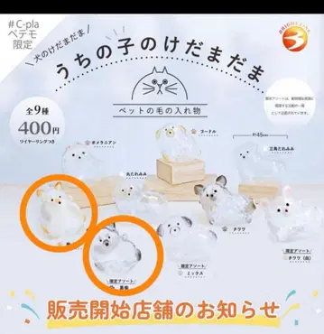 미개봉 새상품 우리 아이 털뭉치 시바견 한정판 모듬 블랙 시바 2개 세트