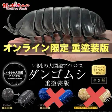 쥐며느리 중도장판 온라인판 생물대도감 어드밴스 블랙