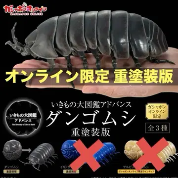 쥐며느리 중도장판 온라인판 생물대도감 어드밴스 블랙