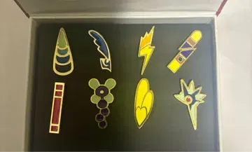 포켓몬스터 짐 배지 화이트 블랙 2