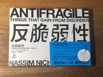 S 반취약성 상하권 세트 불확실한 세계를 살아남는 유일한 사고방식
