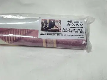 익명 배송/다이쇼 메비우스 라인 B2 태피스트리