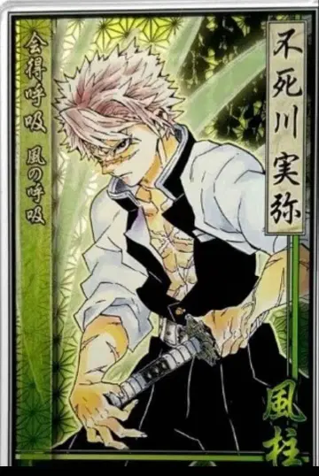 귀멸의 칼날 스탯 카드 컬렉션 시나즈가와 사네미