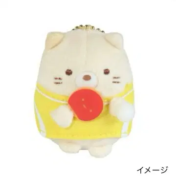 새상품 스미코구라시 걸이 봉제 인형 고양이 탁구부 스미코부