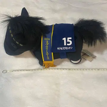 서러브레드 컬렉션 제26회 페브러리 스테이크스 서세스 브로켄