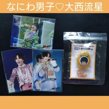 나니와단시 오니시 류세이 세트