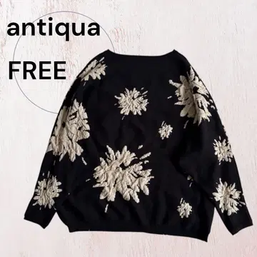 [시착만 한 상품] antiqua 안티카 꽃무늬 돌먼 슬리브 니트 블랙