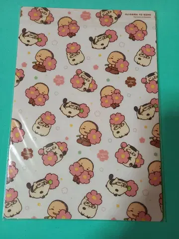 집사 고양이 B5 아래 받침 부록 소년 간간