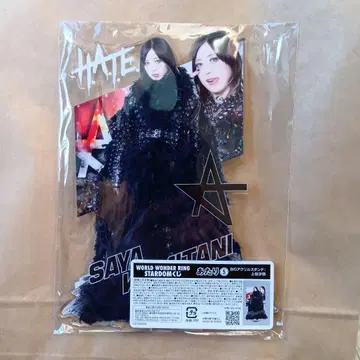 스타덤 복권 BIG 아크릴 스탠드 카미타니 사야