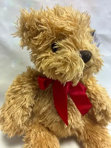 테디베어 Brand Loyalty Ltd, 2005 브라운 빨간색 리본