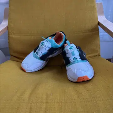 PUMA 디스크 블레이즈