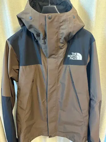 THE NORTH FACE GORE-TEX 마운틴 파카 (사이즈 L)