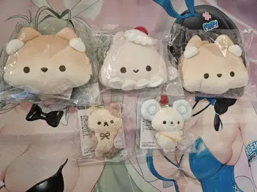 슈가 코코무 묶음 판매