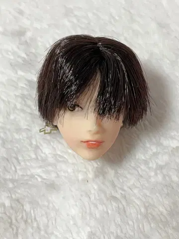 6분의1 남자 도감 에이트 커스텀 헤드 귀걸이 포함 헤드만