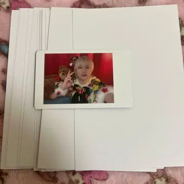 팬더드래곤 요타 성탄 곰 하피카 파라곤