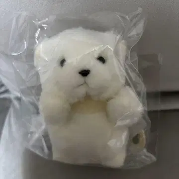 숲의 친구들 곰