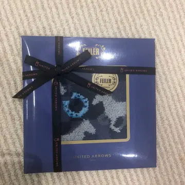 [ 새상품 ] 유나이티드 애로우즈 별주 스플린트 호스 페이러 손수건 레어