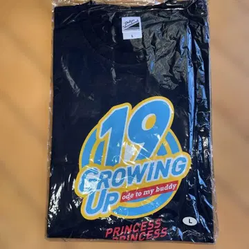 PRINCESS PRINCESS T셔츠 L 사이즈 2012년 재결성