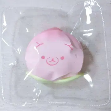 허벅지 곰 스퀴즈