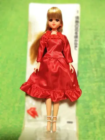 제니 제니 컬렉션 정열의 꽃을 피워