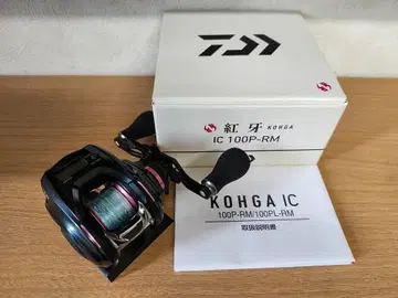 다이와 홍아 IC 100P-RM