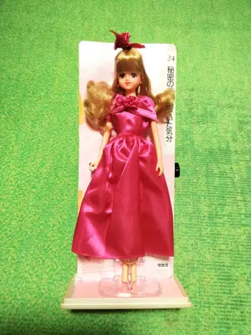 제니 제니 컬렉션 비밀의 화원을 엿본 기분