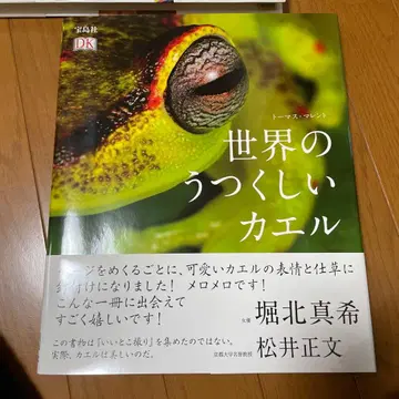 세상의 아름다운 개구리