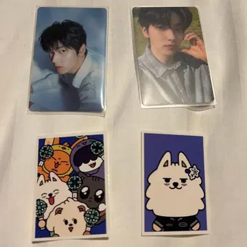 TXT ACT tomorrow 업그레이드 혜택 수빈 연준 뿔바투