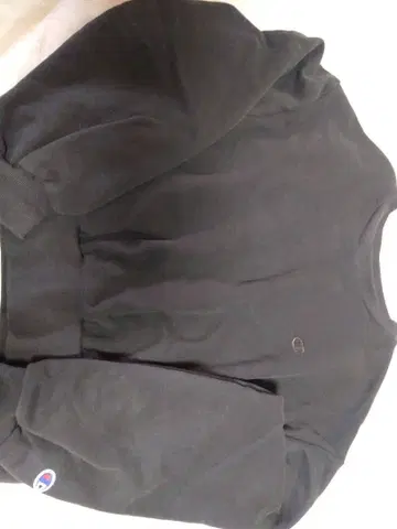 CWSB003 차콜 champion 맨투맨