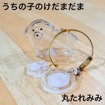 우리 아이의 털뭉치 동그란 늘어진 귀