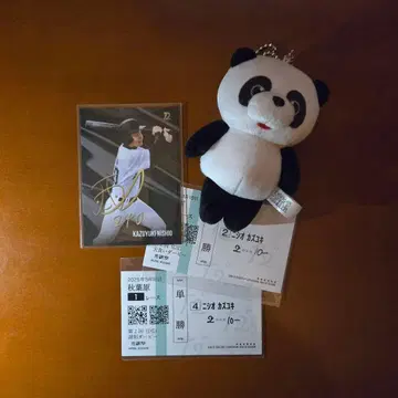 다이니 그룹 니시오 세트