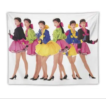 모리타카 치사토 태피스트리 벽걸이 커튼 홑이불 새상품 17세 c