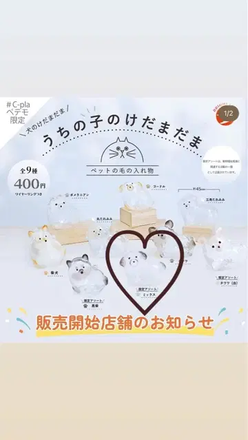 우리 아이의 케다마담 한정판 모듬 믹스 3마리