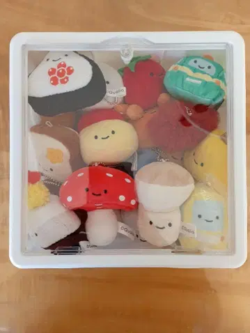 닛코리노 세트 ( 약 17개 )