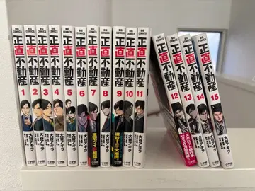 정직 부동산 전 15권 세트