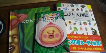 코비토즈칸 세트