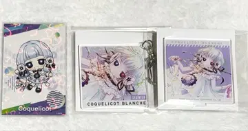 나침반 코클리코 아니아트 시크파