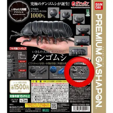 새상품 제브라 댄 고무벌레 생물대도감 어드밴스 가샤폰 한정판