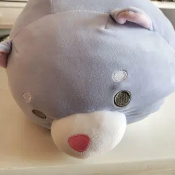 연보라색 곰 봉제 인형