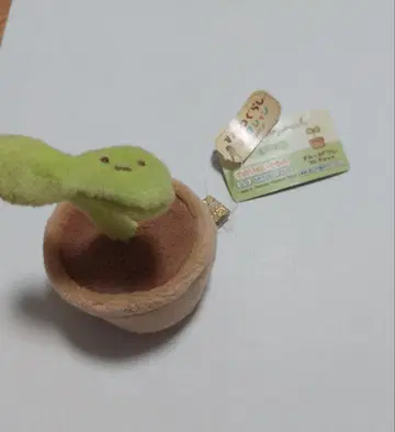 스미코구라시 후타바 테노리 봉제 인형