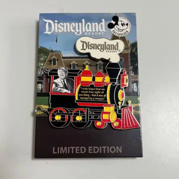 월트디즈니 핀 배지