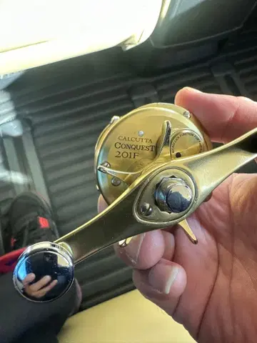 CALCUTTA CONQUEST 201F 베이트 낚시릴