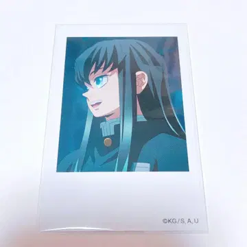 토키토 무이치로 폴라로이드풍 브로마이드 노멀 기둥 카페 귀멸의 칼날