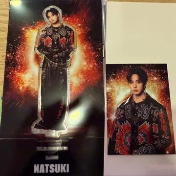 호리 나츠키 아크릴 스탠드 포토 카드