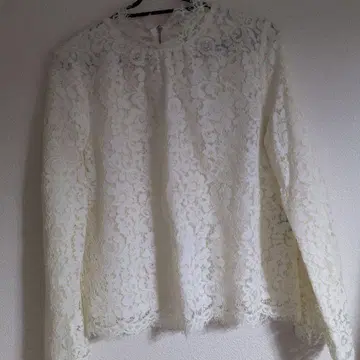 ships 레이스 상의