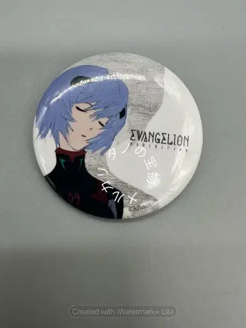 정품 에반게리온전 에바전 한정판 아야나미 레이 캔뱃지