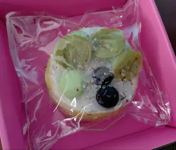 마스캇 케이크 스퀴즈